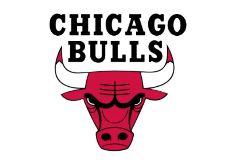 Đội bóng rổ Chicago Bulls 